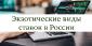 Экзотические виды ставок в России